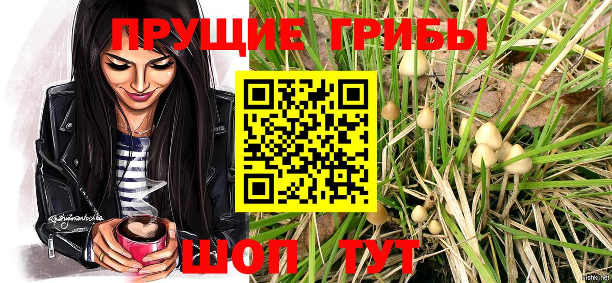 Псилоцибиновые грибы GOLDEN TEACHER Щёкино