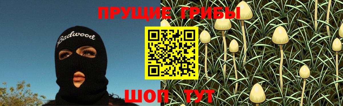 Галлюциногенные грибы Psilocybe  магазин продажи наркотиков  Вход с VPN  Щёкино  Галлюциногенные грибы прущие грибы 